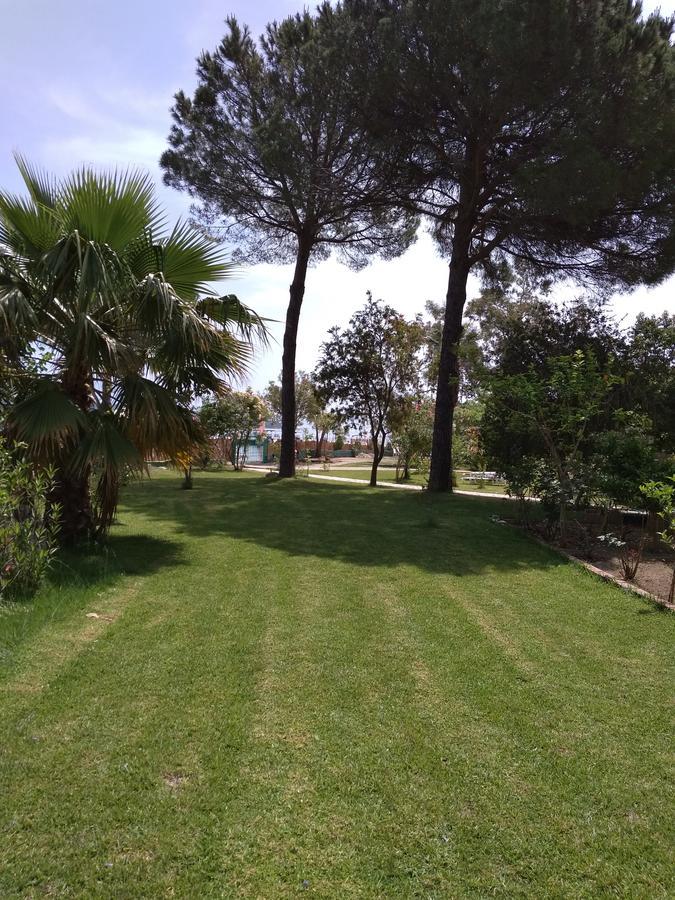 Palmyra Beachfront Studios Nidhrion Exteriör bild